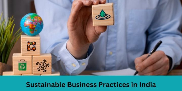 Sustainable Business Practices in India